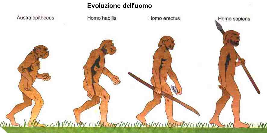 evoluzione