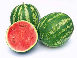 watermelon-of-syracuse