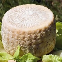 formaggio-di-capra-siciliano-formaggiu-ri-capra