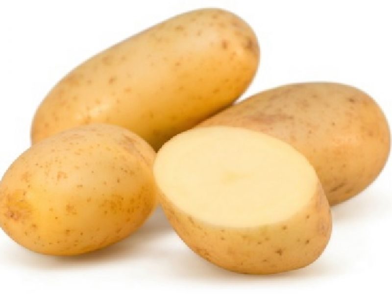 new-potato-from-syracuse-early-potato-potato