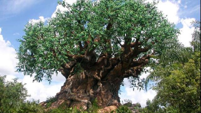 List of Monumental Trees Sicily